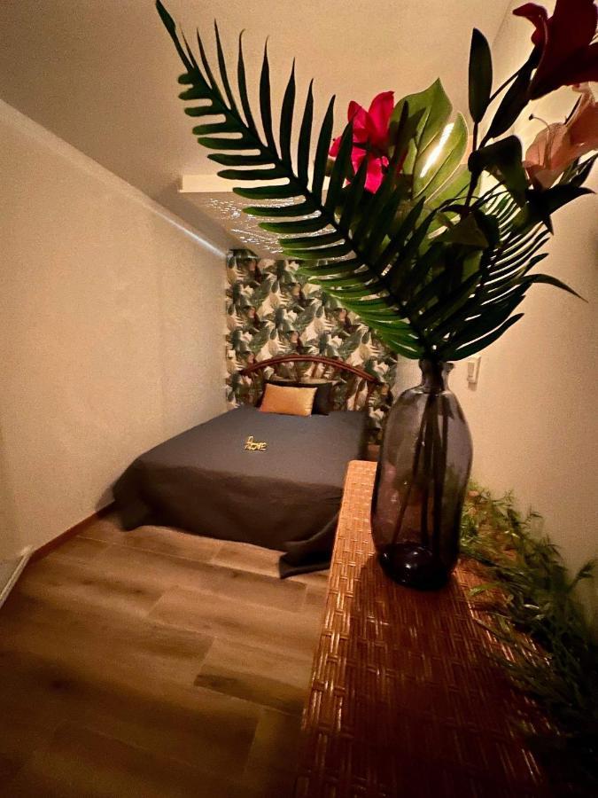 Apartament Les Tropiques De La Baie Ponthoile Zewnętrze zdjęcie